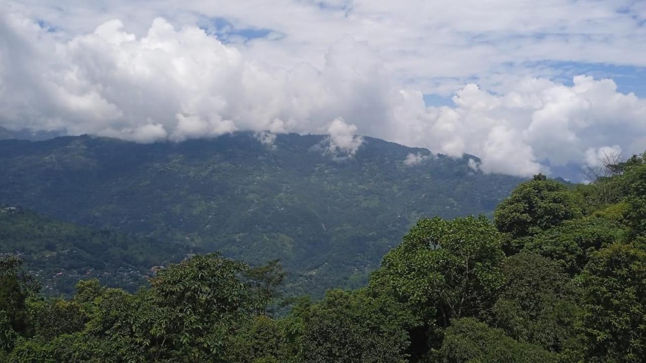 Singtom Tea Resort 大吉岭 外观 照片